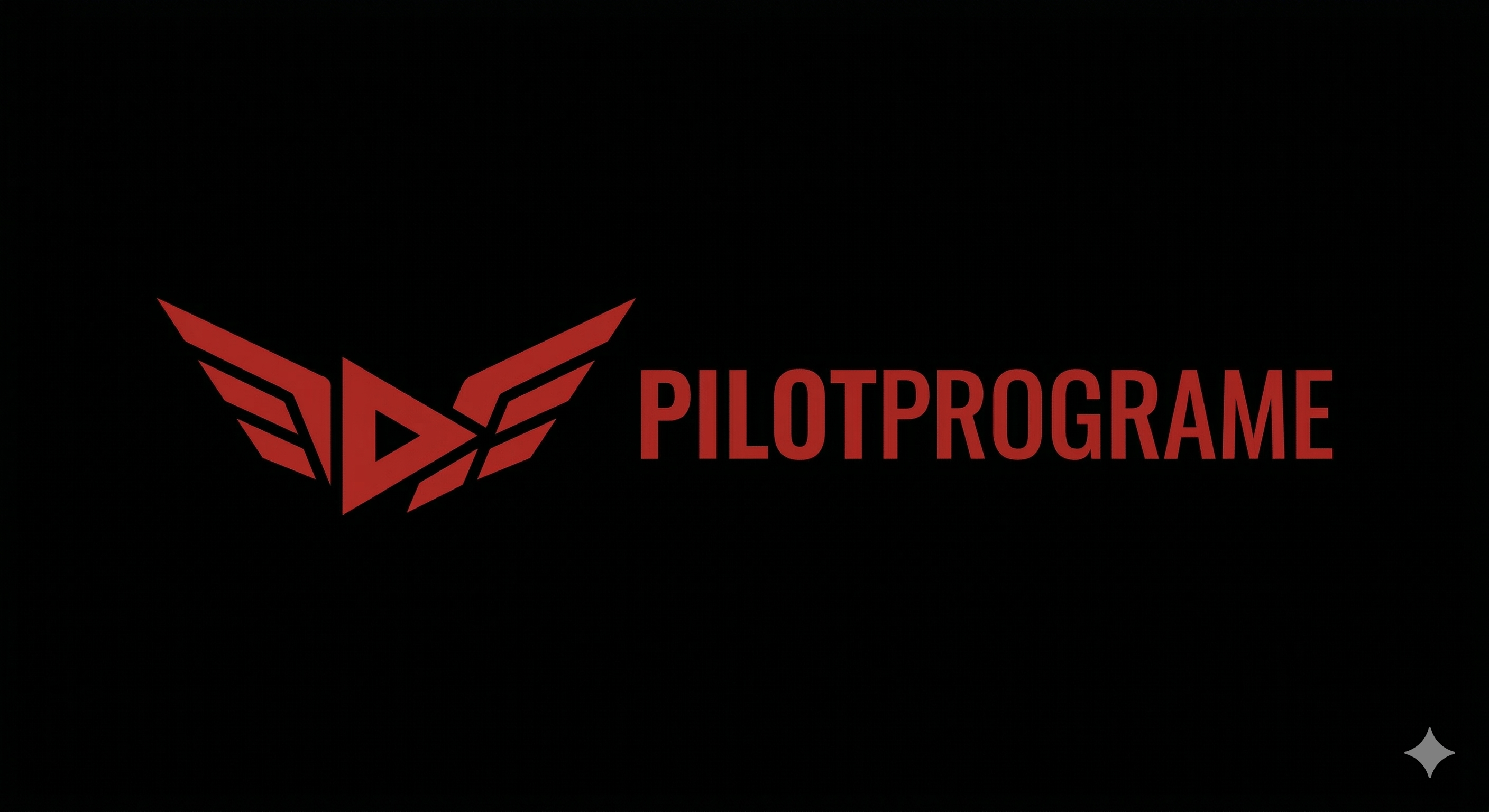 Pilot Programme